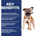 thumbnail image 5 of Hill's Science Diet Puppy Small & Mini Chicken & Brown Rice Recipe Dry Dog Food, 5.67-kg bag, 5 of 5