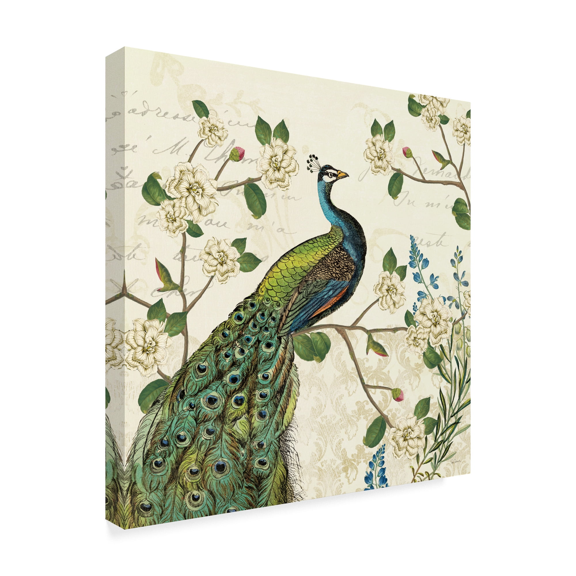 Trademark Fine Art 'Peacock Arbor I Ivory Sq' Canvas Art by Sue Schlabach