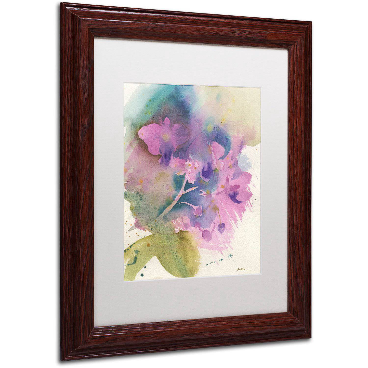 Trademark Fine Art "Orchid Dream" Canvas Art by Sheila Golden White Matte, Wood Frame