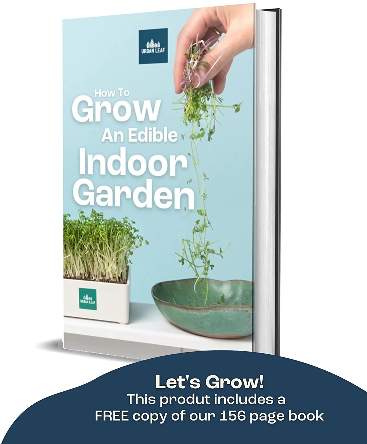 Vegetable Seeds Planting - Heirloom Non GMO Veggie Garden Plant Seeds - Great for Planting Indoor or Outdoors | Veggie Seeds Packet for Home Garden- 8 seeds to plant!
