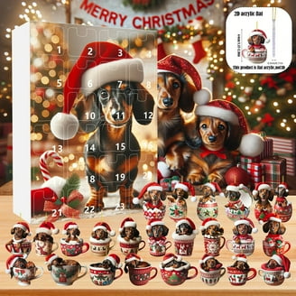 Aldi's Pure Being Dog Advent Christmas Calendar 25 Days of Treats