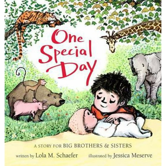 Pre-Owned One Special Day: A Story for Big Brothers and Sisters (Hardcover) 1423137604 9781423137603