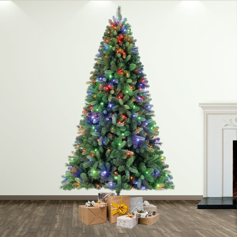 Evergreen classics cheap norwich spruce