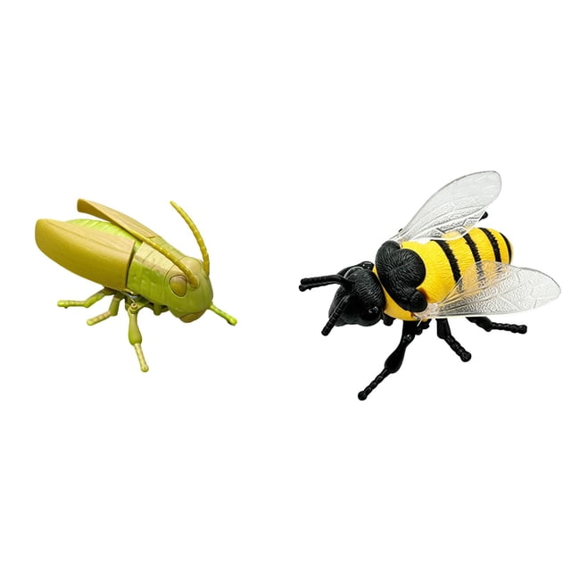YWIYIUD 2PCS 2.44x4.02x1.65inch Realistic InsectShaped Toys Model for Science Learning and Educational Science Gifts Mini InsectShaped Model for Home Living Room Ornaments