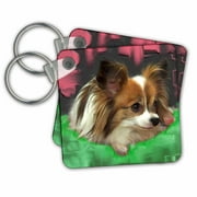 3dRose Papillon - Key Chains, 2.25 by 2.25-inch, set of 2