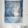 thumbnail image 1 of Winter Tapestry, Alley in Snowy Forest Cold Freezing Weather Rural Nature Outdoors Woodland, Fabric Wall Hanging Decor for Bedroom Living Room Dorm, 5 Sizes, Blue Black White, by Ambesonne, 1 of 1