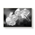 thumbnail image 2 of wall26 Framed Canvas Wall Art for Living Room, Bedroom Flower Closeup I Canvas Prints for Home Decoration Ready to Hang - 16x24 inches, 2 of 4