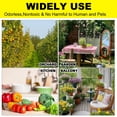 thumbnail image 4 of Yellow Sticky Fly Traps, Dual-Sided Adhesive Fungus Gnat Insect Traps, Butterfly & Tree Shaped Bug Catcher for Indoor Outdoor Potted Plants, Multiple Pack Size Options, 4 of 6