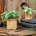 thumbnail image 3 of Basket Style Concrete Planter, 3 of 11