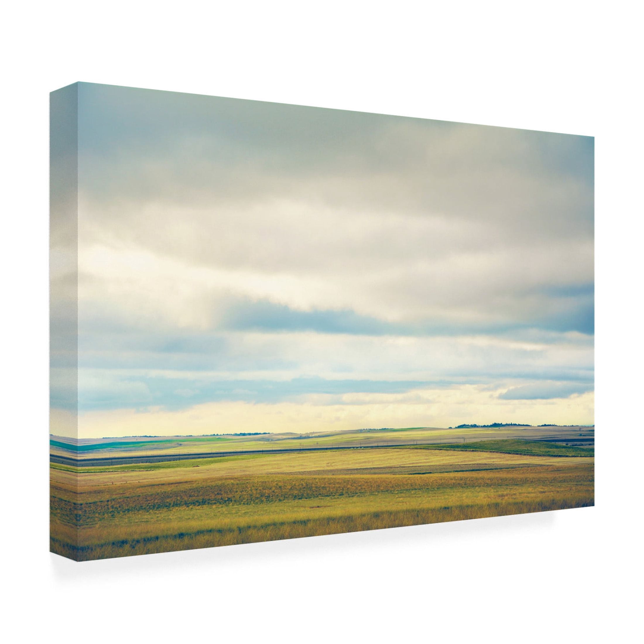 Canvas Wall Art - Annie Bailey Art 'Farmland Plains' Wall Art for Living Room, Bedroom, or Office Décor by Trademark Fine Art - 47 x 30 Inches