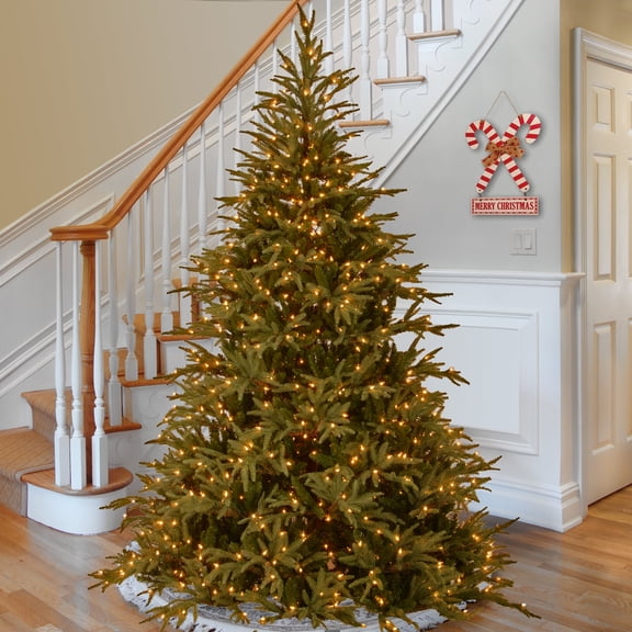 National Tree Company 9 ft. Pre-Lit Feel Real Artificial Fraser Grande Christmas Tree, Green, Dual Color LED Lights, Includes Stand