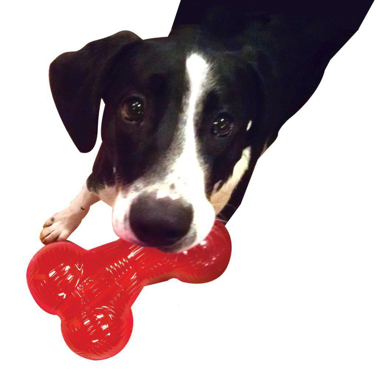 Spot Spotbites Tough Tire, Vinyl Dog Toy, 3.5-inch, Bones & Toys