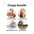 thumbnail image 6 of Sayan Chaga Siberian Mushroom and Reishi Extract with Chaga Tea (90 Count, 20 Bags), 6 of 7