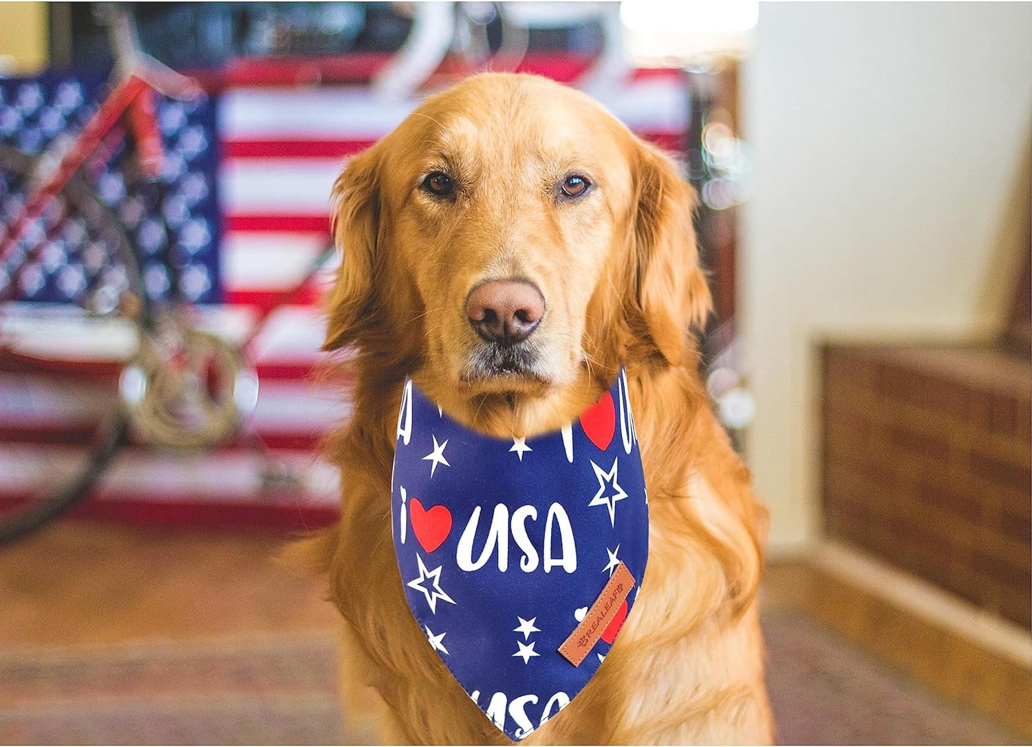4th of July Bandanas 2 Pack, Triangle Reversible American Flag Pet Patriotic Scarf for Boy and Girl, Premium Durable Fabric, USA Bandana for Medium and Large Dogs (Large)