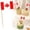 D, variant on Egypt stickers,Egypt flag patch,Small Tiny Egypt Cupcake Toppers Stick Flags Double-sided for World Cup,National Day,Birthday Party Decorations,Cake Flags