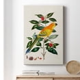 thumbnail image 6 of Bird in Habitat V Premium Gallery Wrapped Canvas - Ready to Hang, 6 of 9