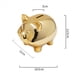 thumbnail image 4 of 3X Alcancía de Cerdo de de Cerámica, Hucha de Moneda , Muebles Creativos para el Hogar, Decoración de Cerdo de la Suerte, Cerdo Dorado, 4 of 5