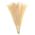 thumbnail image 1 of 4 Paquetes de Hierba Pampas Falsa de 17 Pulgadas 6 Tallos de Hierba Artificial para Decoración, Café Claro, 1 of 6