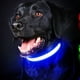thumbnail image 5 of Collar LED para perro, moderno, seguro, recargable por USB, resistente al agua, con luz para perros pequeños, medianos y grandes., 5 of 12