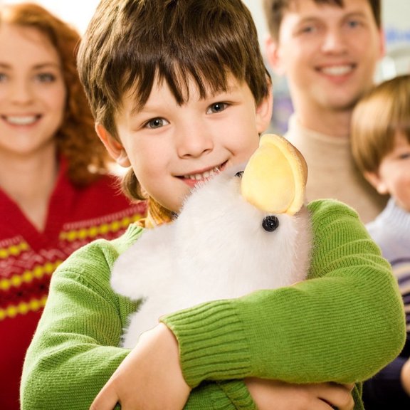 Cute Toy Stuffed Animal Furry Pillow Doll Goose Suitable for Birthday for Children Boys and Girls