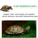 thumbnail image 2 of Lámpara de calor para reptiles de 75 W, lámpara de calor para tortugas, lámpara para tomar el sol, calentador ajustable con clip para reptiles, lagartijas, tortugas, acuario, bombilla incluida, 2 of 9