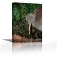 thumbnail image 1 of Great Spotted Kiwi male in rainforest, New Zealand - Contemporary Fine Art Giclee on Canvas Gallery Wrap - wall décor - Art painting - 20 x 30 Inch - Ready to Hang, 1 of 2