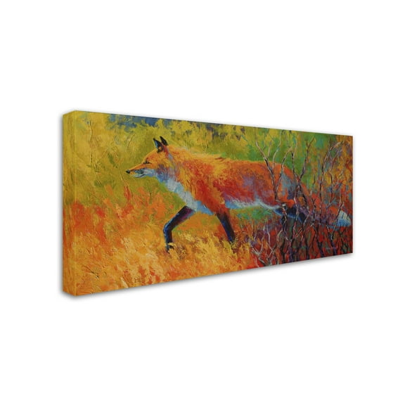 Trademark Fine Art Marion Rose Red Fox 1 Canvas Wall Art - 12x24