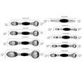 thumbnail image 3 of Magnetic Measuring Spoons Set Of 9 Stainless Steel Cooking Spoons With Measurement For Gift Measuring Dry And Liquid Ingredients, 3 of 9