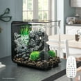 thumbnail image 3 of biOrb FLOW 15 Aquarium with MCR Light - 4 Gallon, Black, 3 of 9