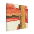 thumbnail image 2 of Trademark Fine Art 'Autumn Patterns I' Canvas Art by Chris Paschke, 2 of 3
