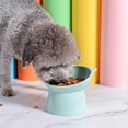 thumbnail image 2 of LLC Elevated Non-Slip Cat and Dog Bowl for Flat-Faced Pets – Green, 2 of 5