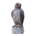 thumbnail image 2 of Ornement de Bureau Réaliste Oiseau de Jardin Taille Réelle Suspendue, 2 of 9