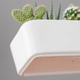 thumbnail image 4 of White Ceramic Bonsai Plant Pot with Bamboo Tray - Decorative, 4 of 5