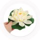 thumbnail image 5 of Greenadscape 6Ud Flores De Loto Artificiales Flotantes Con Almohadillas Para Y, 5 of 6
