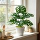 thumbnail image 4 of Decoración artificial de plantas artificiales de interior Monstera Deliciosa Bonsai - Árbol de vegetación sintética realista, ramas ajustables, adorno de escritorio de bajo mantenimiento, 4 of 6