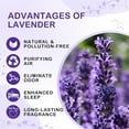 thumbnail image 3 of Triani 6Pcs Lavender Sachet Bags 1oz Natural Fresh Dried Lavender Scented Closet Sachets Air Freshener Oder Eliminator Home Fragrance Sachet, 3 of 7