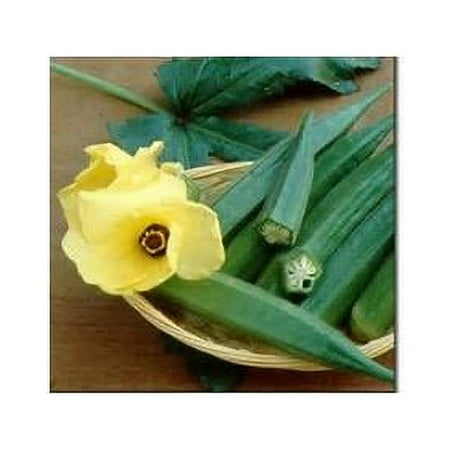 Okra Perkins Long Pod Great Heirloom Vegetable By Seed Kingdom BULK 3,000 Seeds