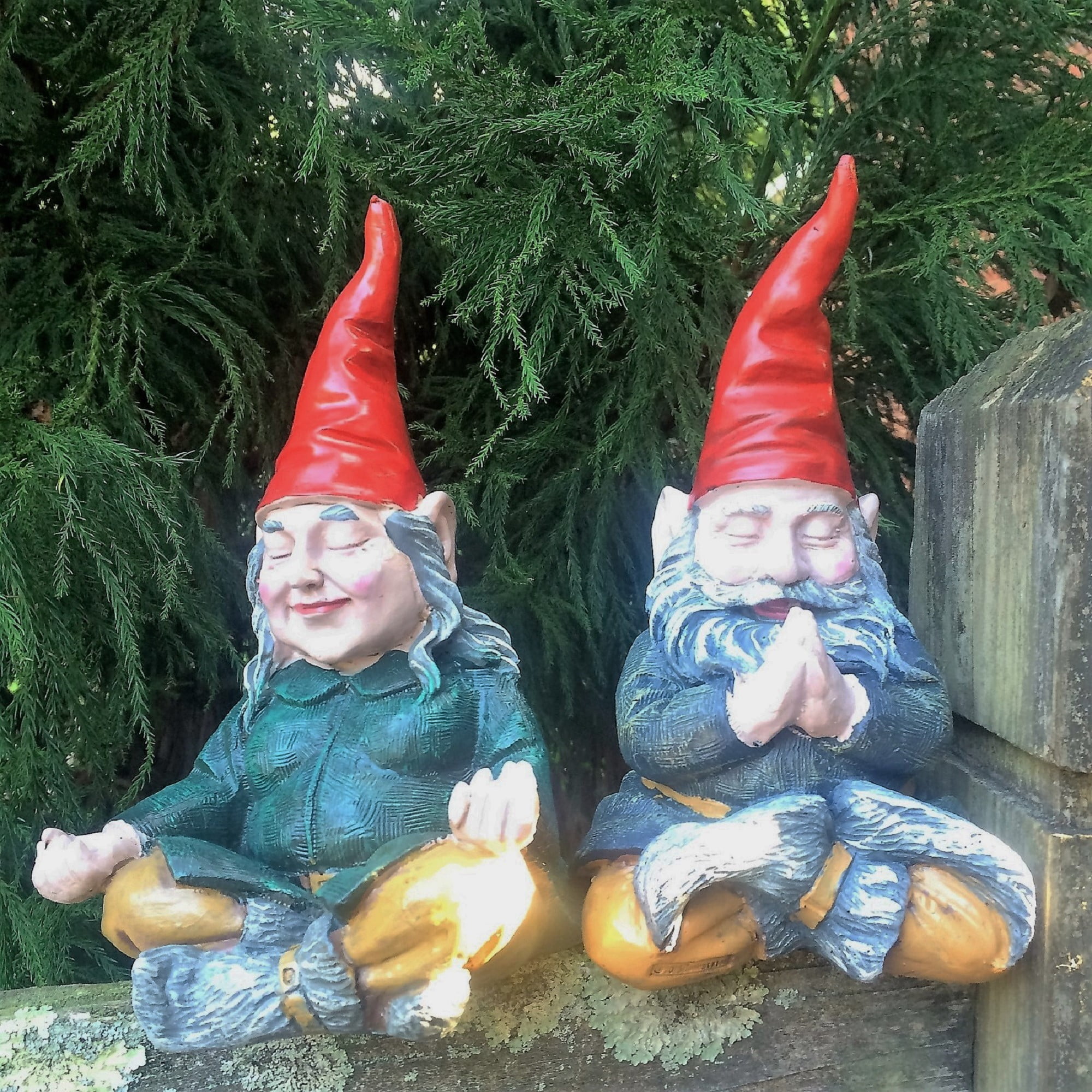 Gnomes of Toad Hollow - Meditating ZEN "Zelda" and "Mordecai" the Yoga Gnomes Home & Garden Gnome Statue 10"H