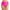 Z2-Hot Pink, variant on vigerkar Women Strappy Bikini Bottom Full Coverage Bathing Suit Bottoms Swimsuit Bottom Navy, M