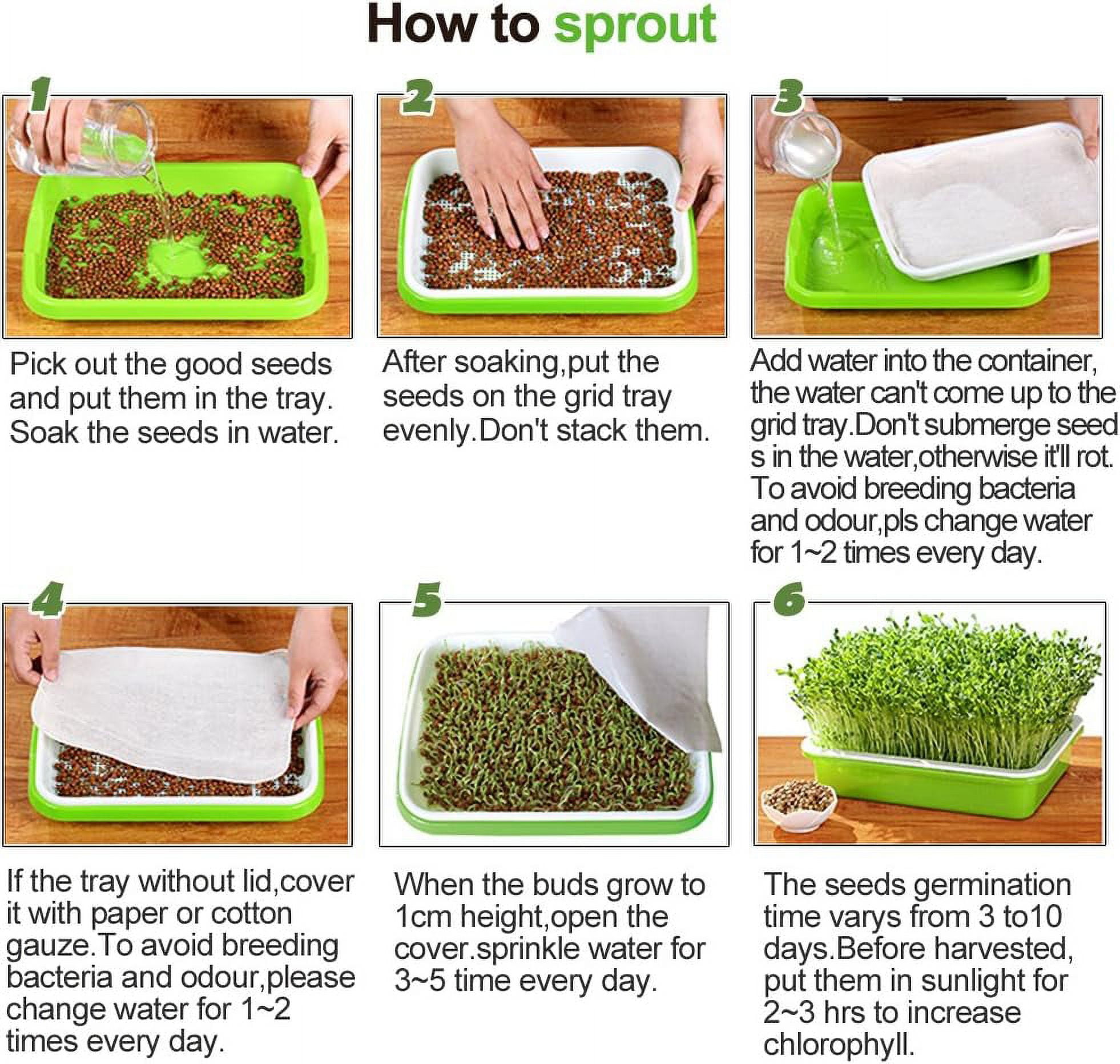 Tutuviw Set of 5 Garden Seed Sprouter Tray BPA Free PP Soil-Free Big Capacity Healthy Wheatgrass Grower with Lid Sprouting 13x9.5x1.8inches