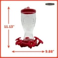 thumbnail image 4 of Pennington Sipper Glass Bottle Red Hummingbird Feeder, 28 oz Nectar Capacity, 4 of 11