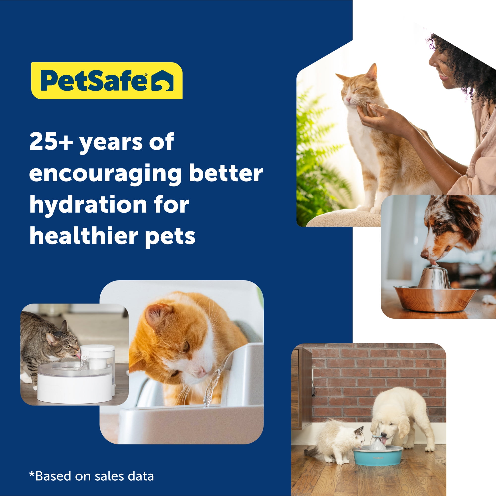 PetSafe Seaside Stainless Pet Fountain, Automatic Dog and Cat Water Bowl, 60 oz