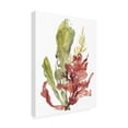thumbnail image 2 of Trademark Fine Art 'Seaweed Garden I' Canvas Art by Jennifer Goldberger, 2 of 4