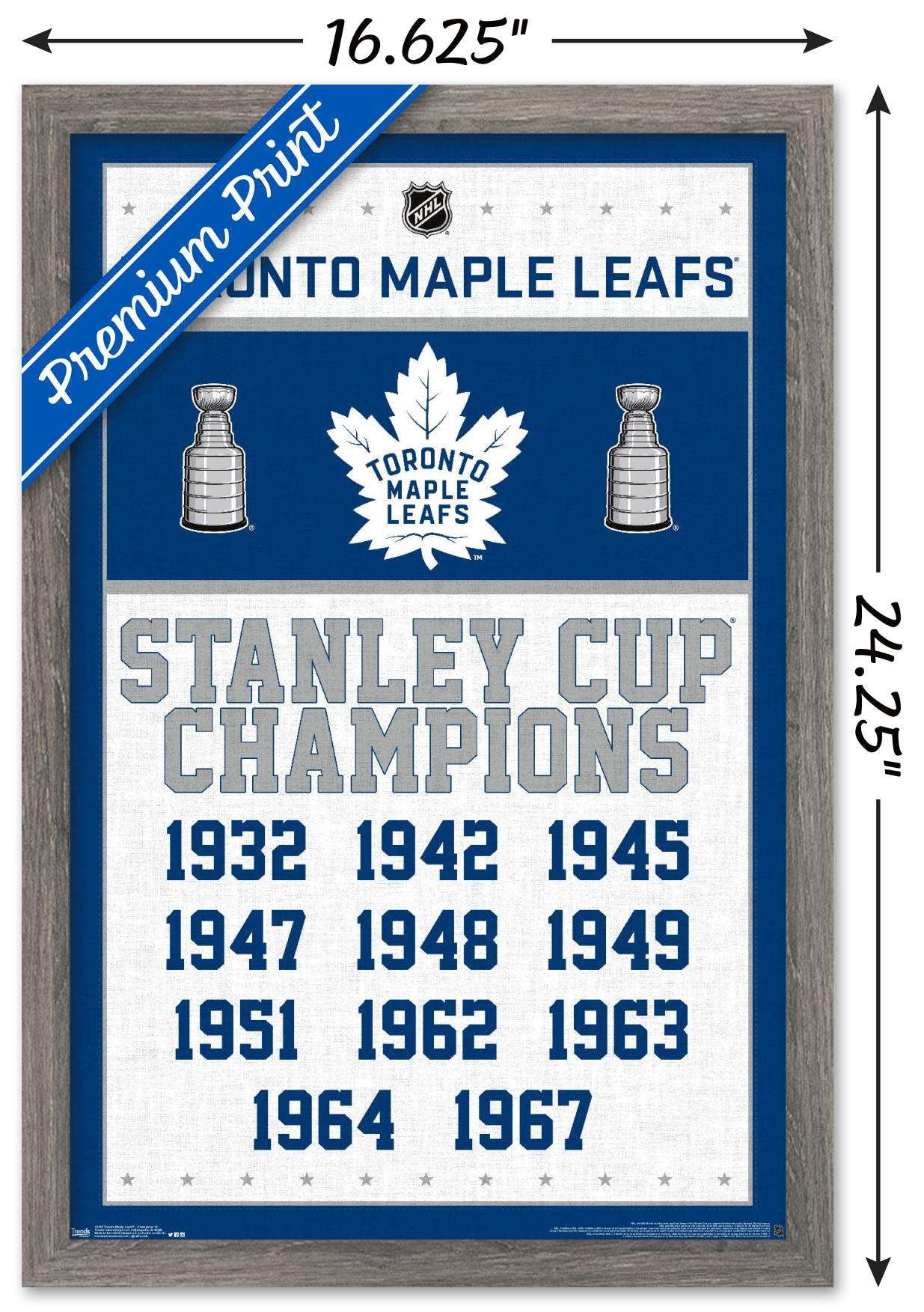 NHL Toronto Maple Leafs - Champions 16 Wall Poster, 14.725" x 22.375", Framed