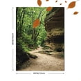 thumbnail image 3 of Forest Path Canvas Print/Wall Art， Perfect for Living Room， Bedroom， Office， Hallway， and Yoga Studio Decoration., 3 of 8