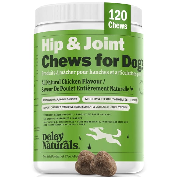 Deley Naturals Dog Hip and Joint Supplement - MSM with Glucosamine Chondroitin and Collagen for Dogs - Hip and Joint Supplement for Dogs Advanced Art