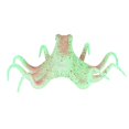 thumbnail image 4 of Rdeghly Simulation Octopus, Fluorescence Effect Fish Tank Decoration, For Aquarium Animals Pets Fish Tank Decoration, 4 of 8