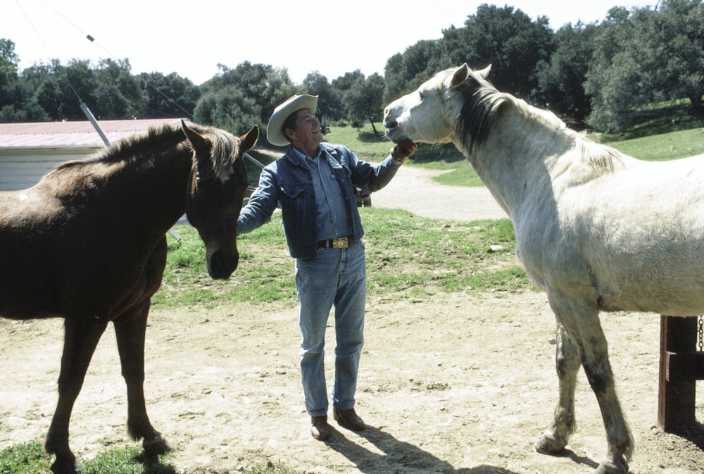 Ronald Reagan with horses on his ranch in Santa Barbara California