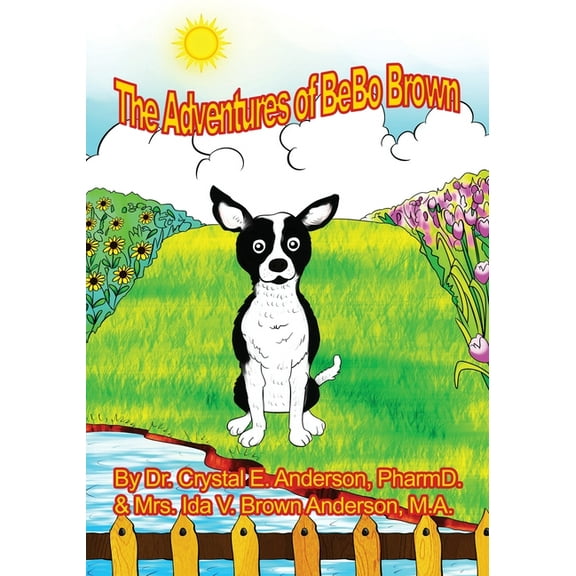 The Adventures of Bebo, (Paperback)