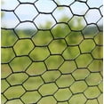 thumbnail image 3 of Chicken Wire Fence 1 Inch Hex Mesh - 20ga. Wire Black PVC Coated for Coops, Garden Protection and Netting (6' x 150'), 3 of 5